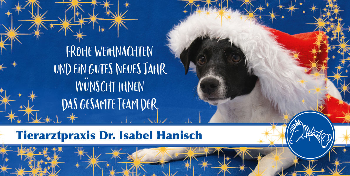 Frohe Weihnachten