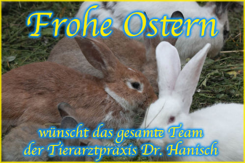 Frohe Ostern!
