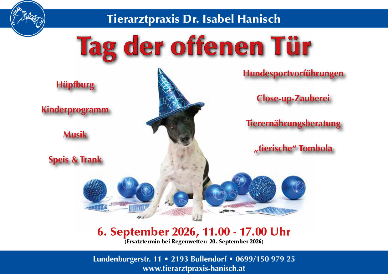 Banner Tag der offenen Tür 6.9.2026, 11.00-17.00 Uhr