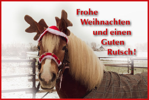 Frohe Weihnachten